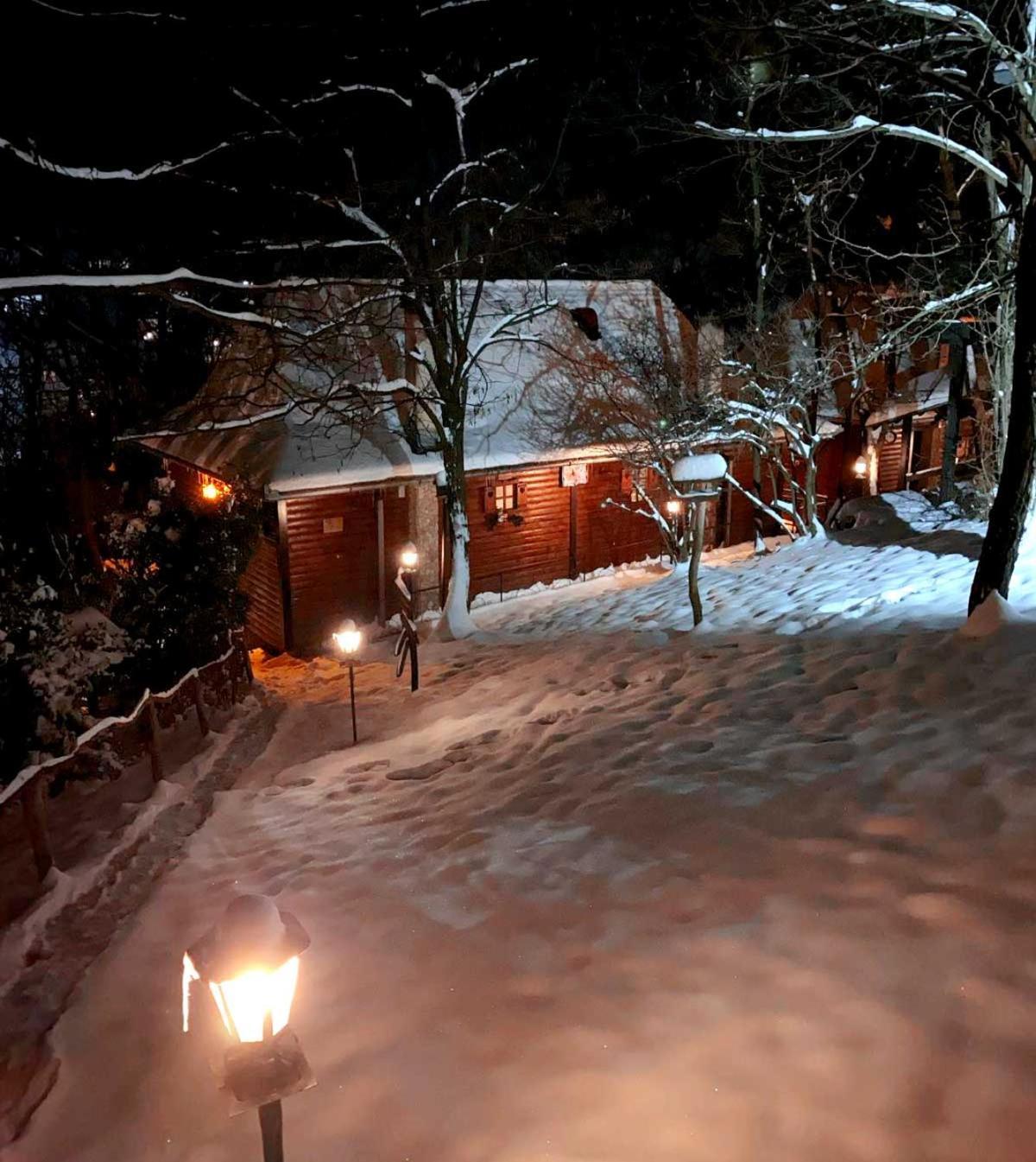 Oaza Prirode, Brvnare Platan Apartamento Vrdnik Exterior foto